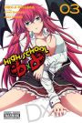 High School DxD, Vol. 3