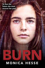 Title: Burn, Author: Monica Hesse