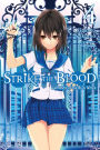 Strike the Blood, Vol. 4 (light novel): Labyrinth of the Blue Witch