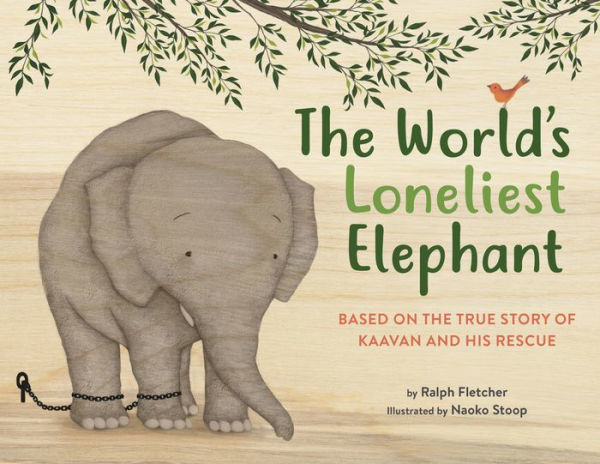 Barnes and Noble The World's Loneliest Elephant: Based on the True Story of Kaavan and His Rescue | The Summit Barnes and Noble The World's Loneliest Elephant: Based on the True Story of Kaavan and His Rescue | The Summit