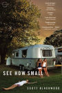 See How Small: A Novel