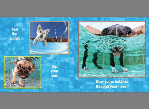 Puppy Pool Party!: An Underwater Dogs Adventure