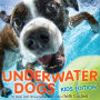 Underwater Dogs: Kids Edition