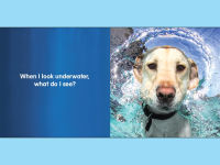 Alternative view 2 of Underwater Dogs: Kids Edition