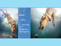 Alternative view 3 of Underwater Dogs: Kids Edition