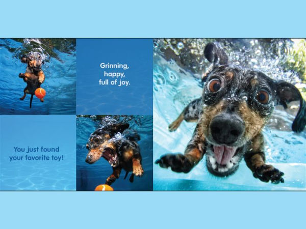 Underwater Dogs: Kids Edition