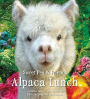 Alpaca Lunch (Sweet Pea & Friends Series #4)