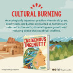 Alternative view 2 of Indigenous Ingenuity: A Celebration of Traditional North American Knowledge