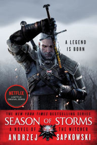 Download it ebooks for free Season of Storms 9780316457231 DJVU ePub