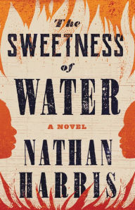 Download free ebay ebooks The Sweetness of Water 9780316461276