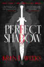 Perfect Shadow: A Night Angel Novella