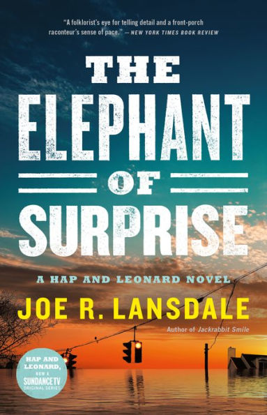 The Elephant of Surprise (Hap Collins and Leonard Pine Series #12)
