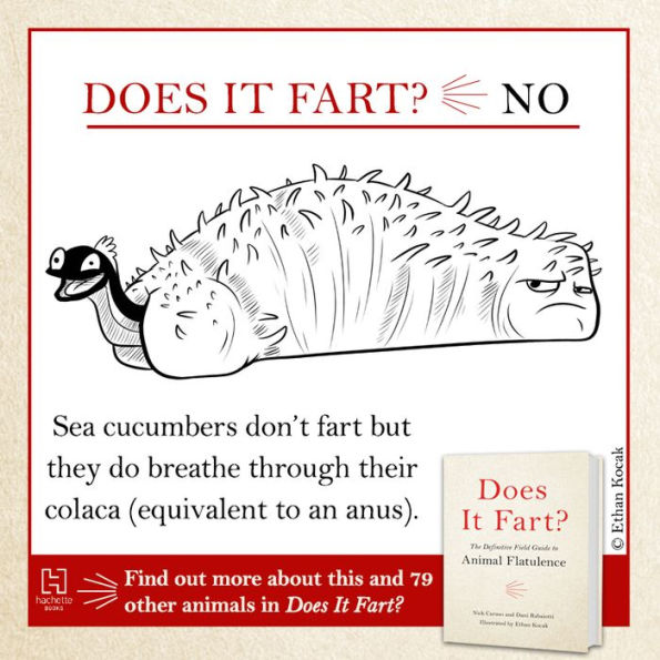 Does It Fart?: The Definitive Field Guide to Animal Flatulence