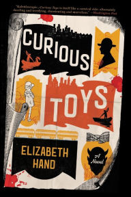 Ibook free downloads Curious Toys 9780316485913 by Elizabeth Hand (English literature)