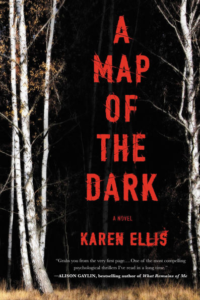 A Map of the Dark: A Novel