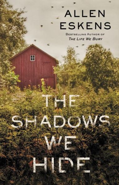 The Shadows We Hide: The highly acclaimed sequel to The Life We Bury