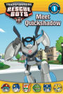 Transformers Rescue Bots: Meet Quickshadow