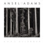 Ansel Adams 2024 Engagement Calendar: Authorized Edition: 12-Month Nature Photography Collection (Weekly Calendar and Planner)