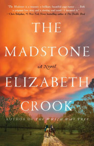 Title: The Madstone: A Novel, Author: Elizabeth Crook