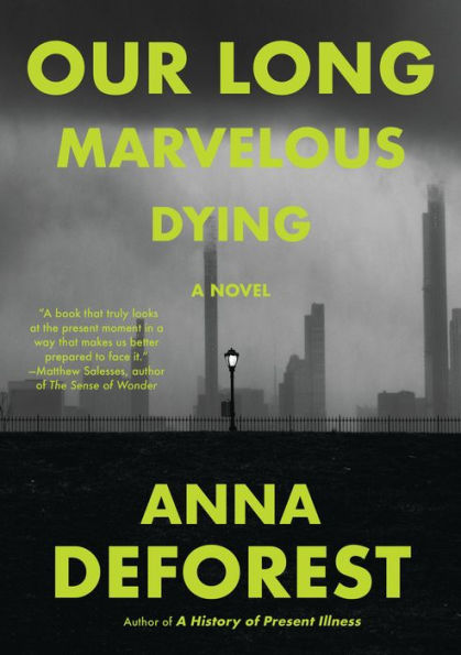 Our Long Marvelous Dying: A Novel