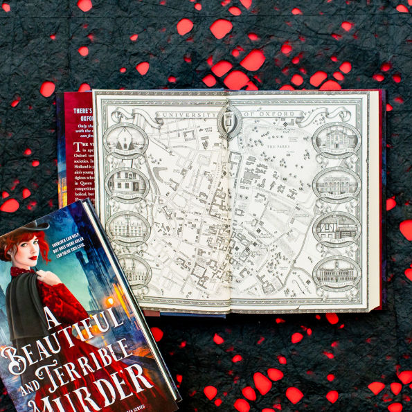 A Beautiful and Terrible Murder