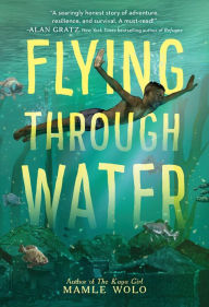 Title: Flying Through Water, Author: Mamle Wolo