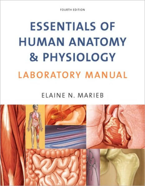 Essentials of Human Anatomy and Physiology Laboratory Manual / Edition 4