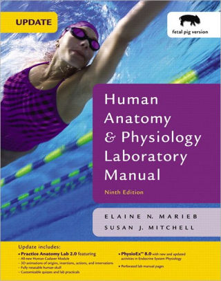 Human Anatomy Amp Physiology Laboratory Manual Fetal Pig