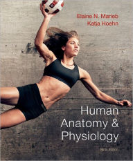 Title: Human Anatomy & Physiology / Edition 9, Author: Elaine N. Marieb