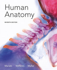 Title: Human Anatomy / Edition 7, Author: Elaine N. Marieb