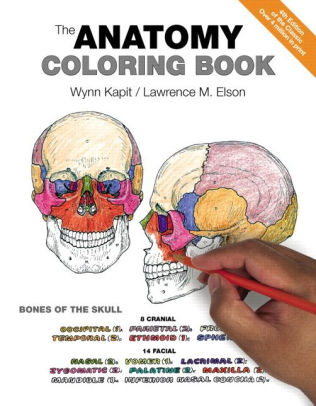 Download The Anatomy Coloring Book By Wynn Kapit Lawrence Elson Paperback Barnes Noble