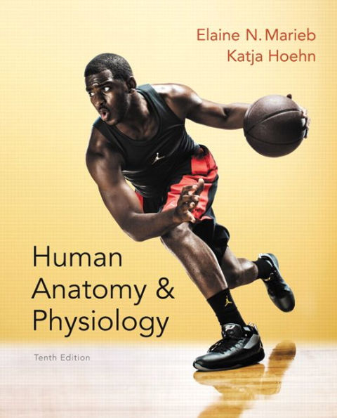 Human Anatomy & Physiology / Edition 10
