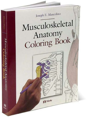 63 The Anatomy Coloring Book Reviews Free Images