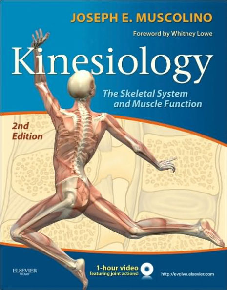 Kinesiology: The Skeletal System and Muscle Function / Edition 2