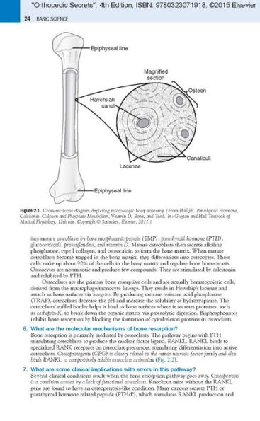 Orthopedic Secrets / Edition 4