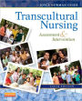 Transcultural Nursing: Assessment and Intervention / Edition 6