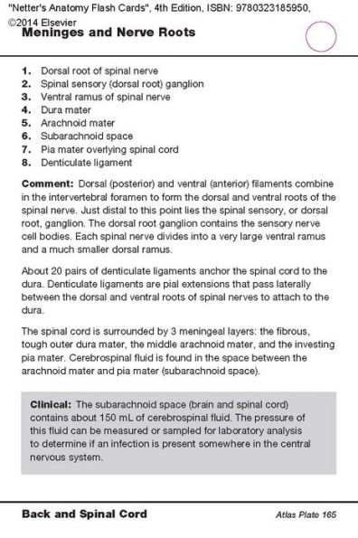 Netter's Anatomy Flash Cards: with Online Student Consult Access / Edition 4