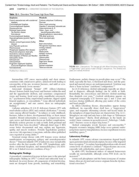 Endocrinology Adult and Pediatric: The Parathyroid Gland and Bone Metabolism / Edition 6