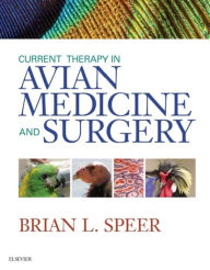 Title: Current Therapy in Avian Medicine and Surgery - E-Book, Author: Brian Speer BS