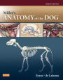Miller's Anatomy of the Dog - E-Book: Miller's Anatomy of the Dog - E-Book