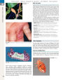 Alternative view 2 of Andrews' Diseases of the Skin: Clinical Dermatology / Edition 12