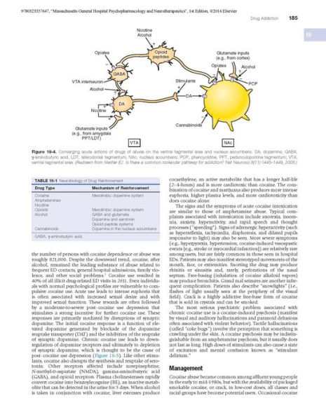 Massachusetts General Hospital Psychopharmacology and Neurotherapeutics