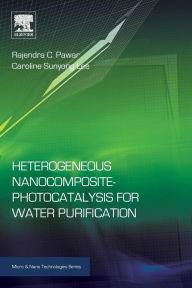 Title: Heterogeneous Nanocomposite-Photocatalysis for Water Purification, Author: Rajendra Pawar