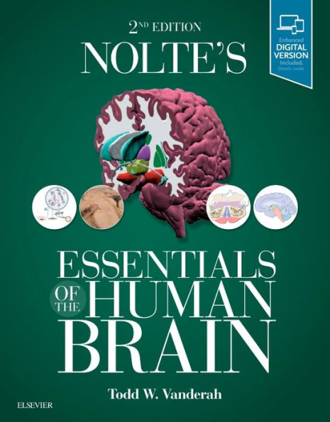 Nolte's Essentials of the Human Brain / Edition 2