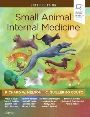 Small Animal Internal Medicine / Edition 6