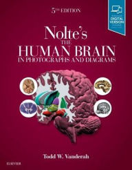 Title: Nolte's The Human Brain in Photographs and Diagrams / Edition 5, Author: Todd W. Vanderah PhD