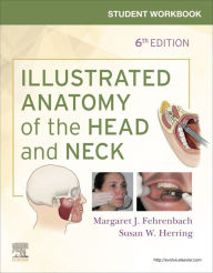 Title: Student Workbook for Illustrated Anatomy of the Head and Neck, Author: Margaret J. Fehrenbach RDH