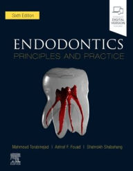 Title: Endodontics: Principles and Practice / Edition 6, Author: Mahmoud Torabinejad DMD