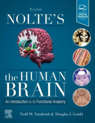 Title: Nolte's The Human Brain: An Introduction to its Functional Anatomy / Edition 8, Author: Todd W. Vanderah PhD