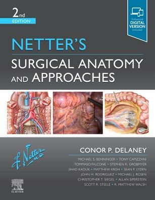 Netter's Surgical Anatomy and Approaches / Edition 2